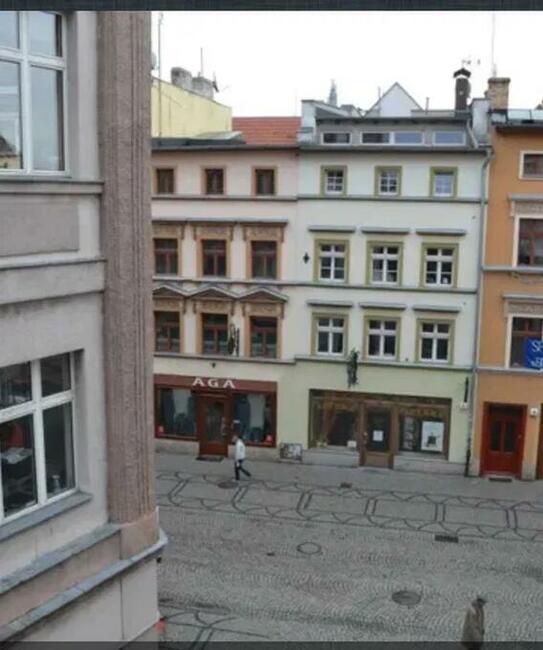 Mieszkanie do wynajęcia