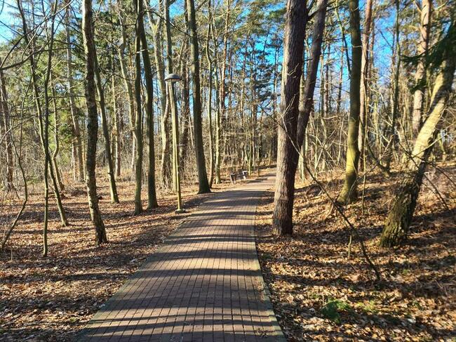 Pokoje gościnne - ul. Nadmorska 10 Bobolin muszelka