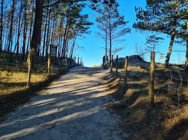 Pokoje gościnne - ul. Nadmorska 10 Bobolin muszelka