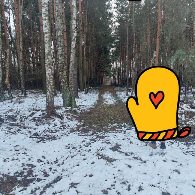 sprzedam działki leśne i rolne