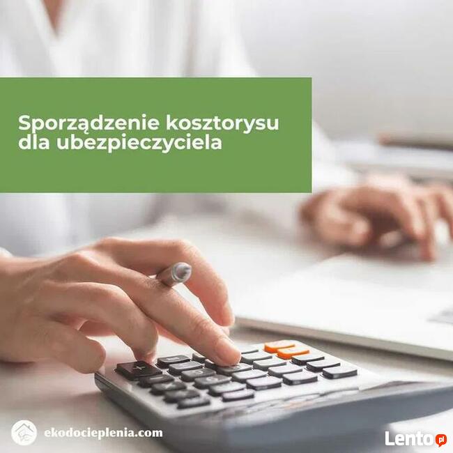 Naprawa dachu - Zwalczanie kun - Wdmuchiwanie izolacji