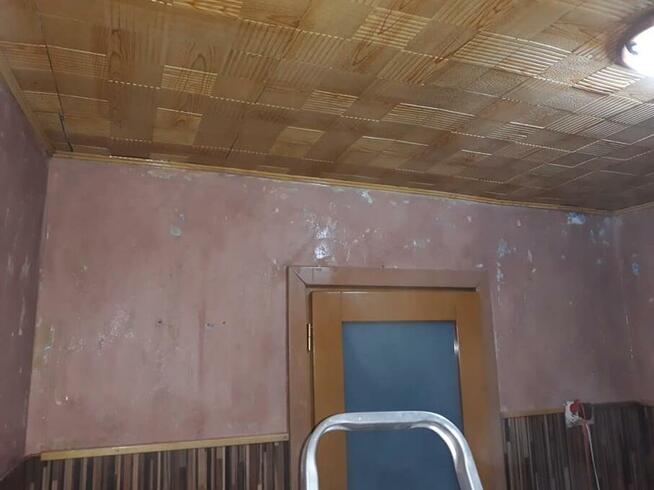 usuwanie pleśni, odgrzybianie