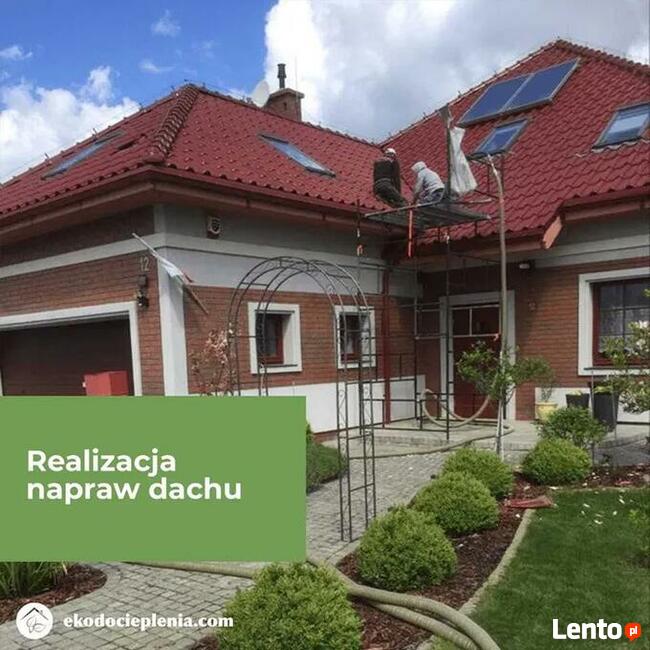 Naprawa dachu - Zwalczanie kun - Wdmuchiwanie izolacji