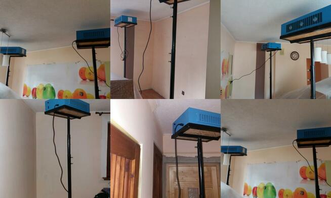 usuwanie pleśni, odgrzybianie