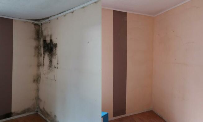 usuwanie pleśni, odgrzybianie