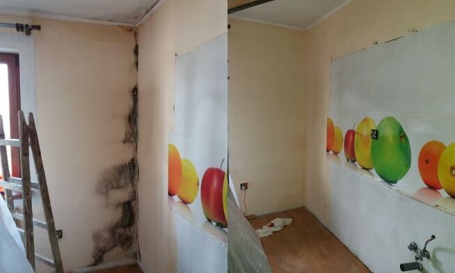 usuwanie pleśni, odgrzybianie