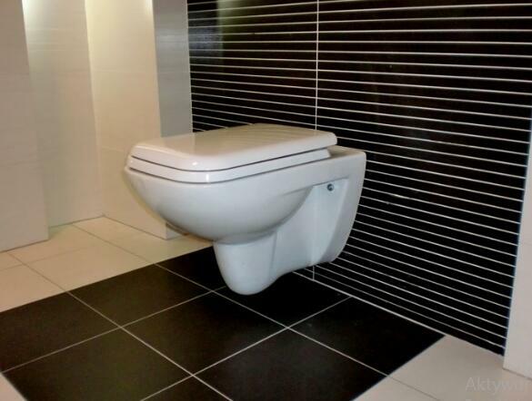 WC naprawy-spłuczki podtynkowe GEBERIT, CERSANIT, KOŁO