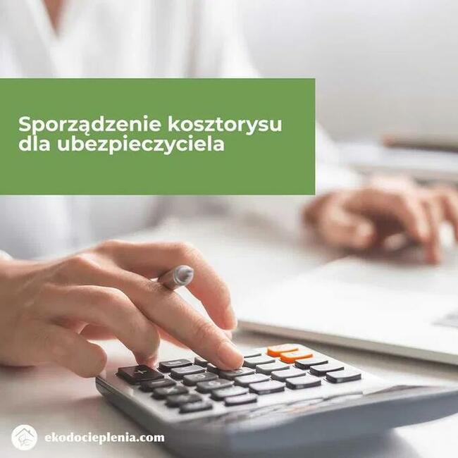 Naprawa dachu - Likwidacja kun - Wdmuchiwanie izolacji
