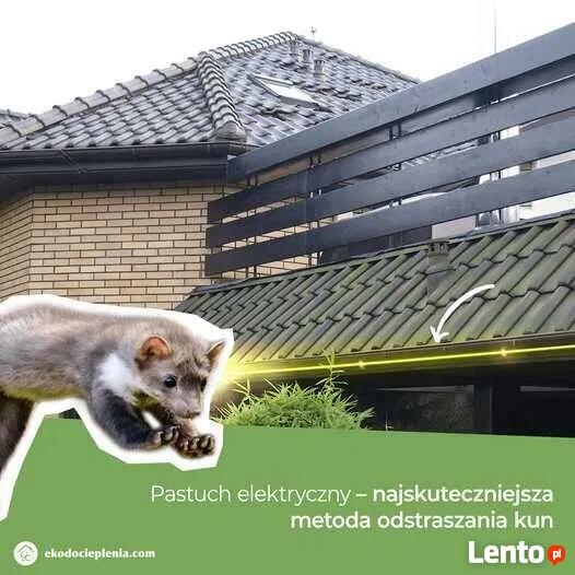 Naprawa dachu - Zwalczanie kun - Wdmuchiwanie izolacji