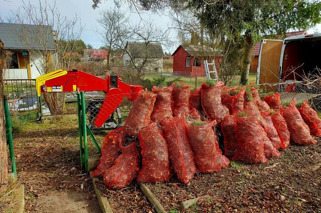 OSTROŁĘKA - WYCINKA DRZEW Z PODNOŚNIKA I ALPINISTYCZNIE