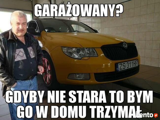 Miernik Grubości Lakieru
