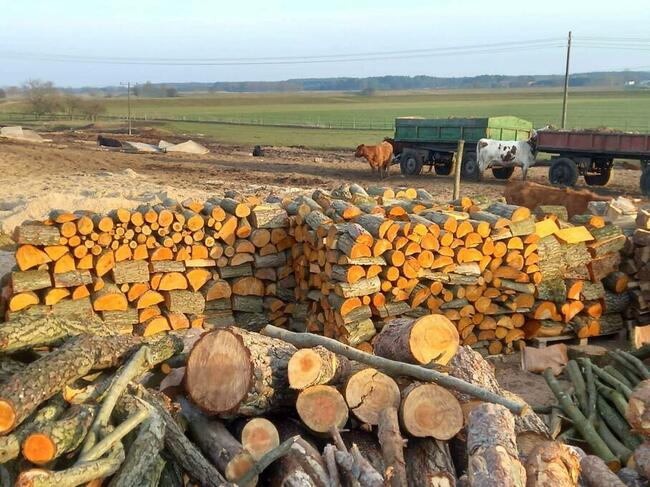 Drewno Kominkowe Opałowe Dąb Buk Wiąz Brzoza Olcha Sosna