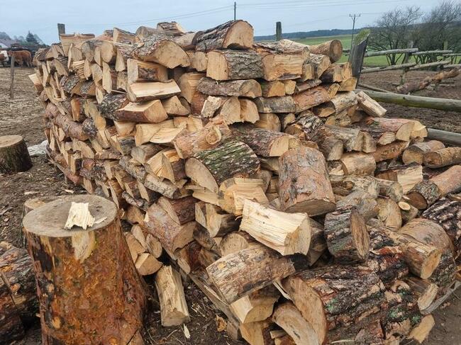 Drewno Kominkowe Opałowe Dąb Buk Wiąz Brzoza Olcha Sosna