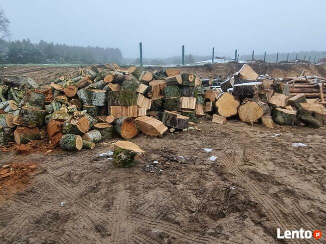 Drewno Kominkowe Opałowe Dąb Buk Wiąz Brzoza Olcha Sosna