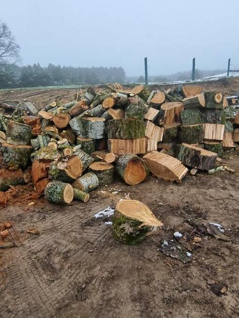Drewno Kominkowe Opałowe Dąb Buk Wiąz Brzoza Olcha Sosna