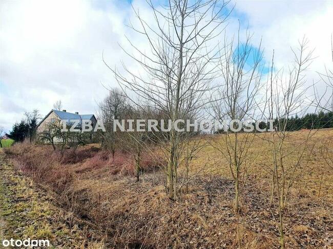 Siedlisko na Mazurach