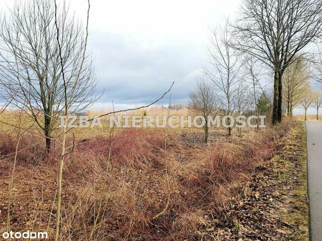 Siedlisko na Mazurach