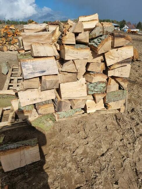 Drewno Kominkowe Opałowe Dąb Buk Wiąz Brzoza Olcha Sosna