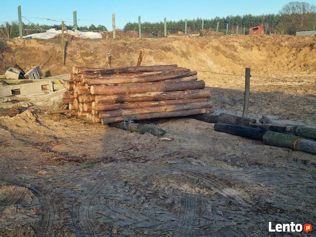 Drewno Kominkowe Opałowe Dąb Buk Wiąz Brzoza Olcha Sosna