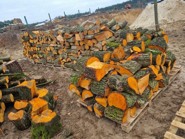 Drewno Kominkowe Opałowe Dąb Buk Wiąz Brzoza Olcha Sosna