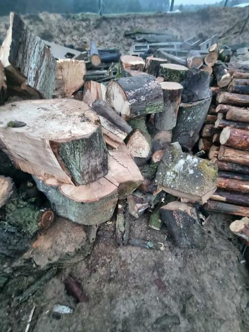 Drewno Kominkowe Opałowe Dąb Buk Wiąz Brzoza Olcha Sosna