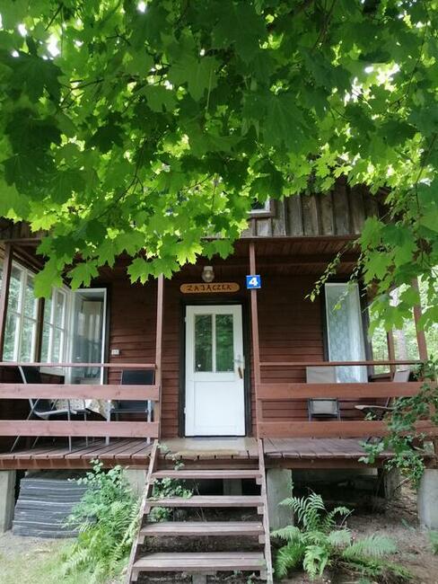 Domek Zajączek nad jeziorem Sasek Wielki wakacje, nocleg