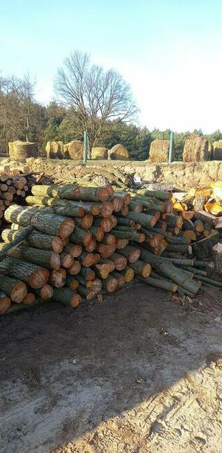 Drewno Kominkowe Opałowe Dąb Buk Wiąz Brzoza Olcha Sosna