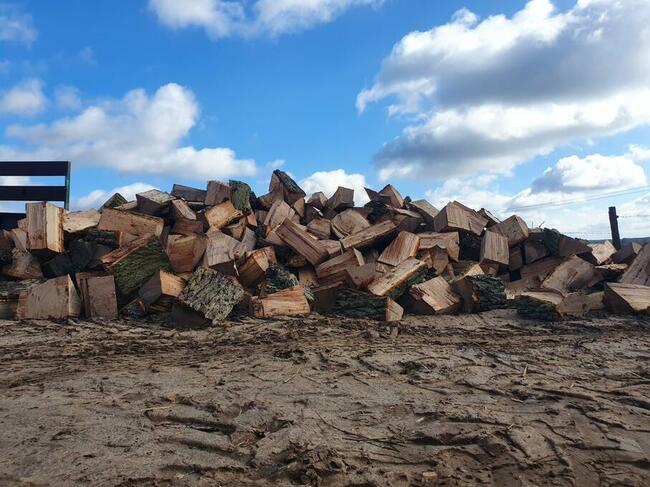 Drewno Kominkowe Opałowe Dąb Buk Wiąz Brzoza Olcha Sosna
