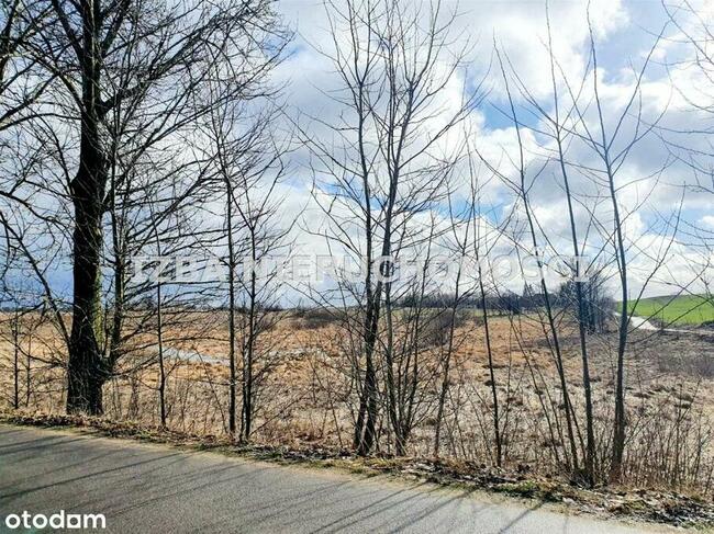 Siedlisko na Mazurach