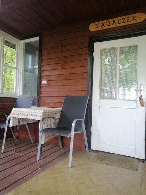 Domek Zajączek nad jeziorem Sasek Wielki wakacje, nocleg