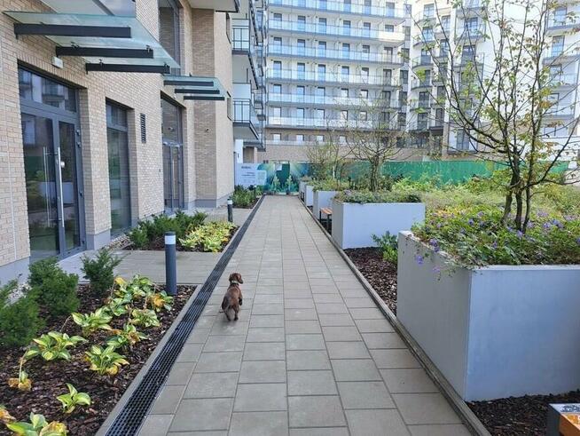 New Luxury Micro studio, office apartment in a great location