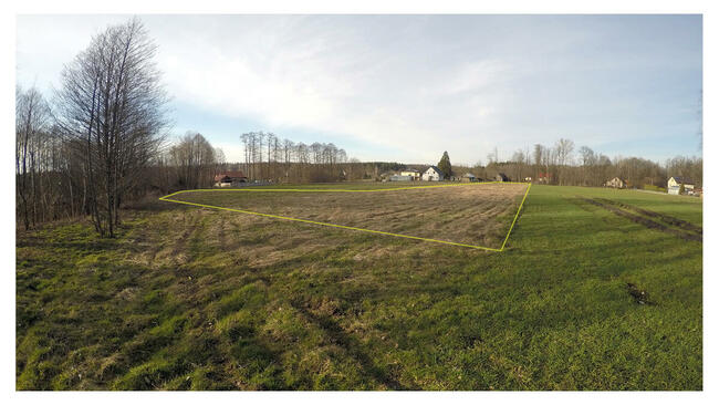 SPRZEDAM DZIAŁKĘ Z ZABUDOWANIAMI MALENISKA 77 POWIAT LEŻAJSK