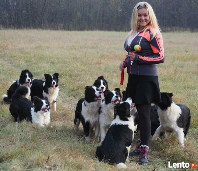 Dzieci I psy. Cudowna opieka nad dzieckiem wśród zwierząt