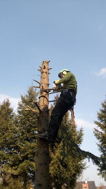 Wycinka przycinka drzew.Rębak do gałęzi.