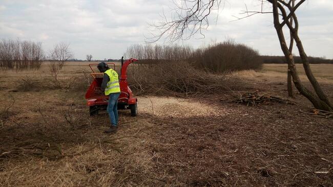 Wycinka przycinka drzew.Rębak do gałęzi.