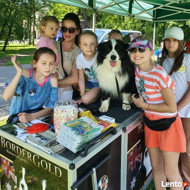 Dzieci I psy. Cudowna opieka nad dzieckiem wśród zwierząt