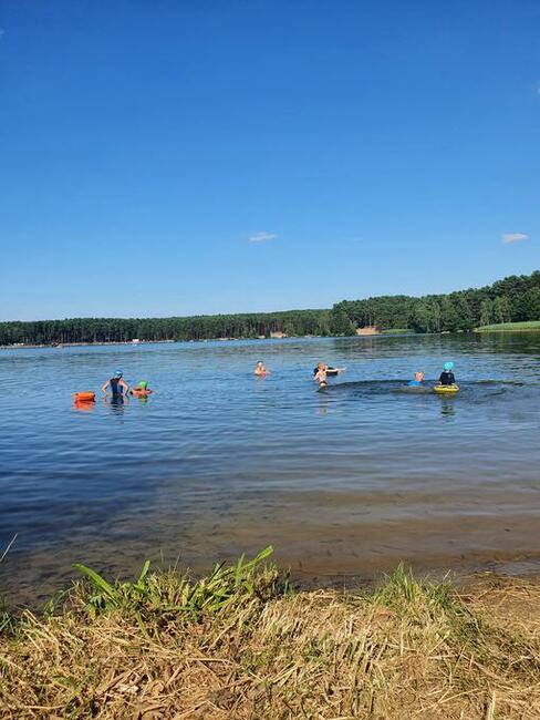 Domki holenderskie do wynajęcia na urlopy weekendy