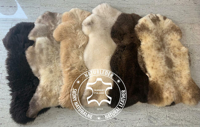 Bio garbowane skóry owcze i jagnięce. Organiczne