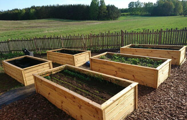 ziemia przesiana z obornikiem lub bez obornika