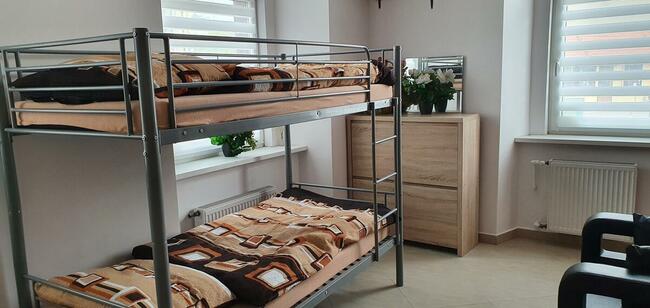 Mieszkanie do wynajecia