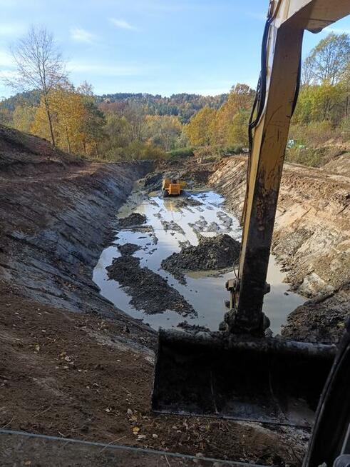 Usługi koparką , roboty ziemne , wycinka drzew, piaskowanie