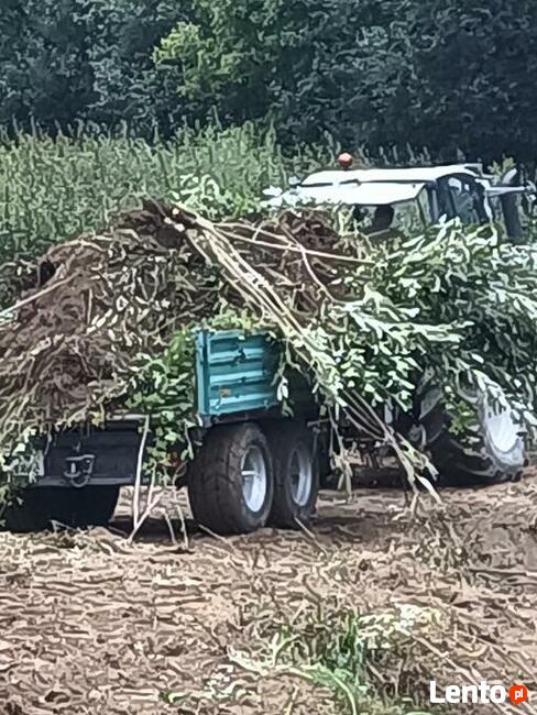 Usługi koparką , roboty ziemne , wycinka drzew, piaskowanie