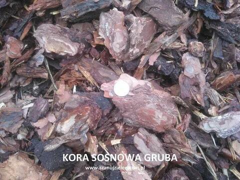 Kora sosnowa sortowana 80l ozdobna do ogrodu z dostawą