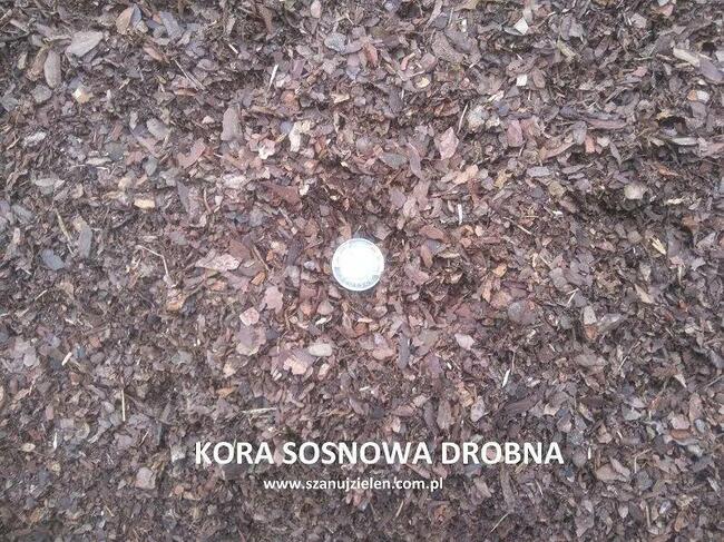 Kora sosnowa sortowana 80l ozdobna do ogrodu z dostawą