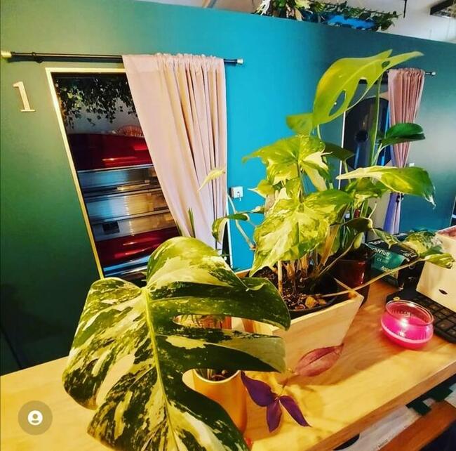 lokal solarium/kosmetyka