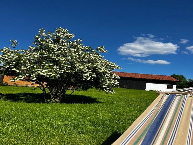 Warsztaty Joga Warmia-Mazury