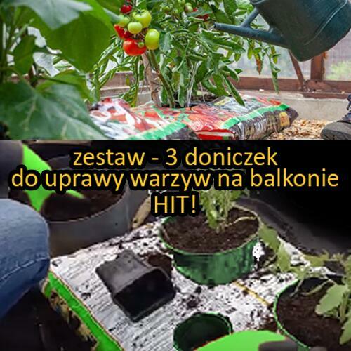 3 DONICZKI SPINANE – DO UPRAWY BALKONOWEJ – BESTSELLER 2025