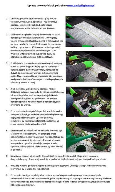 UPRAWA NA BALKONIE W MIESZKANIU - Zestaw 3 doniczek spinanyc