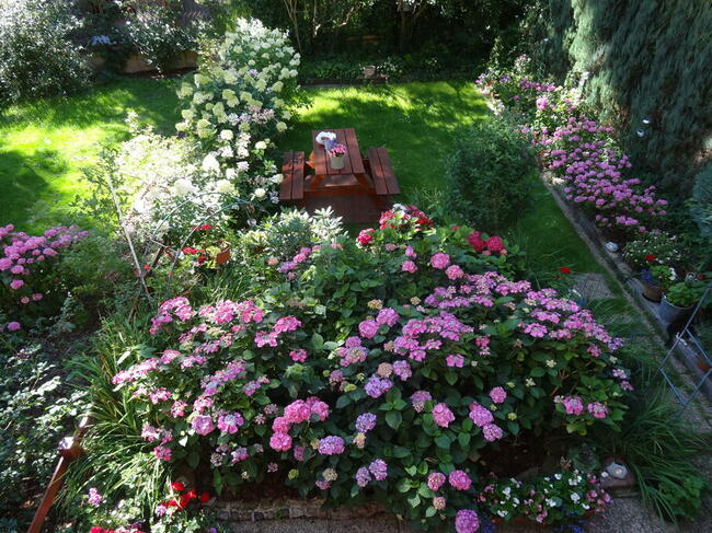 Międzyzdroje - Pokoje gościnne