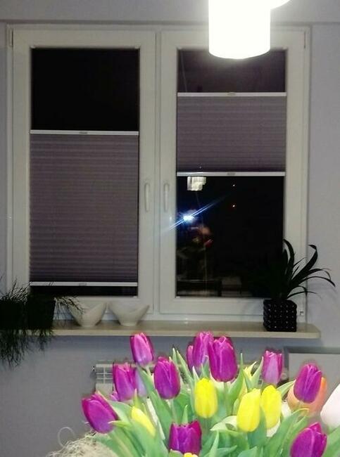 ,,,,,Rolety, plisy, żaluzje